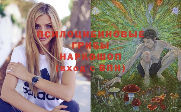 твердый Надым