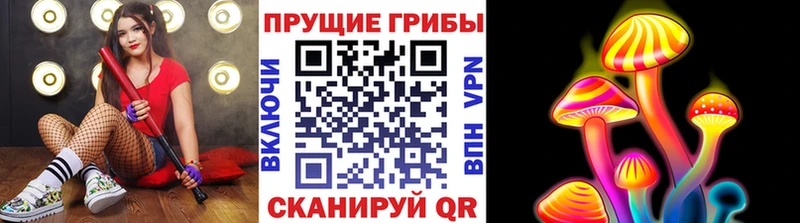 купить наркотик  Энем  Галлюциногенные грибы Psilocybe 